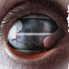 Filter - Crazy Eyes, Vinyl (NEW)