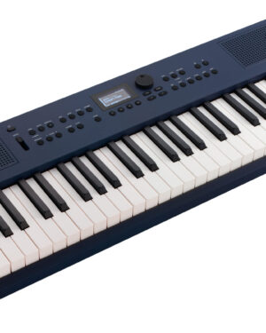 Roland GO:KEYS 3 61-Key Keyboard (748)