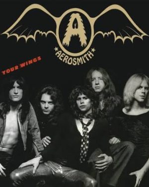 Aerosmith - Get Your Wings (180g Audiophile Vinyl), Vinyl (NEW)